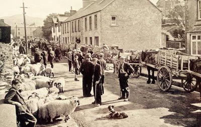 Selling wool in the markets in the 1900's