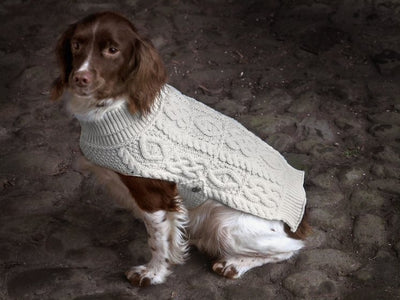 Aran dog sweater